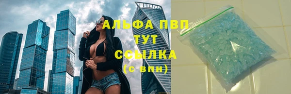 молекула духа Вяземский