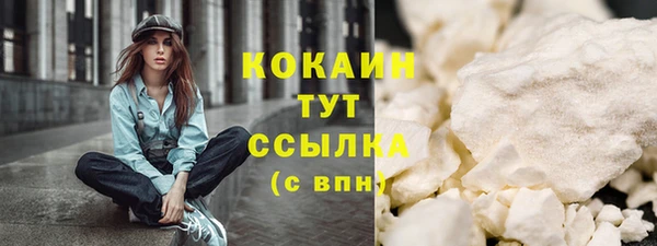 сатива Вязьма