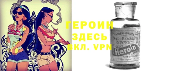молекула духа Вяземский