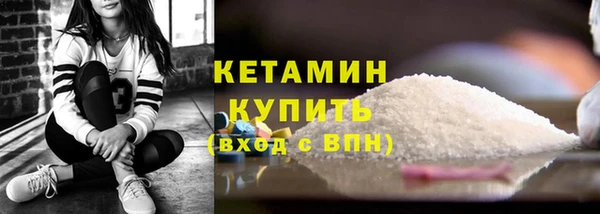 молекула духа Вяземский