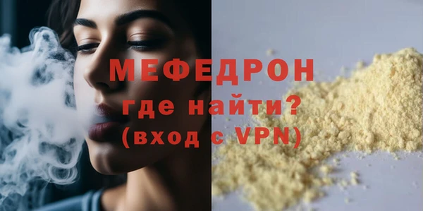 молекула духа Вяземский