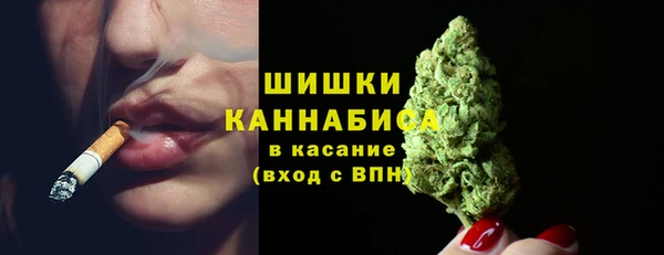 не бодяженный Горно-Алтайск