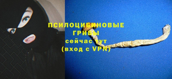 экстази Горняк