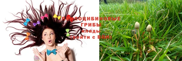 молекула духа Вяземский