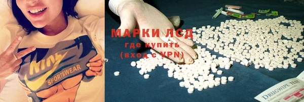 молекула духа Вяземский