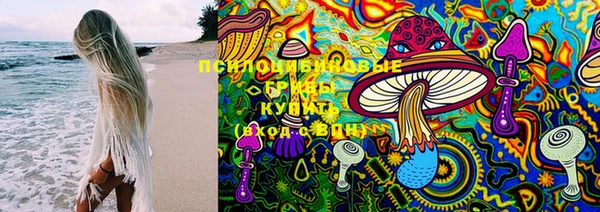 сатива Вязьма
