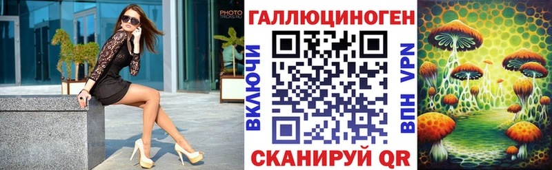 где купить наркотик  Ставрополь  Псилоцибиновые грибы Psilocybe 